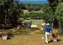 golf Barbados